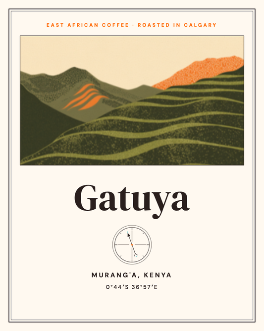 Gatuya: Safari 97 Kenyan coffee label, Murang'a