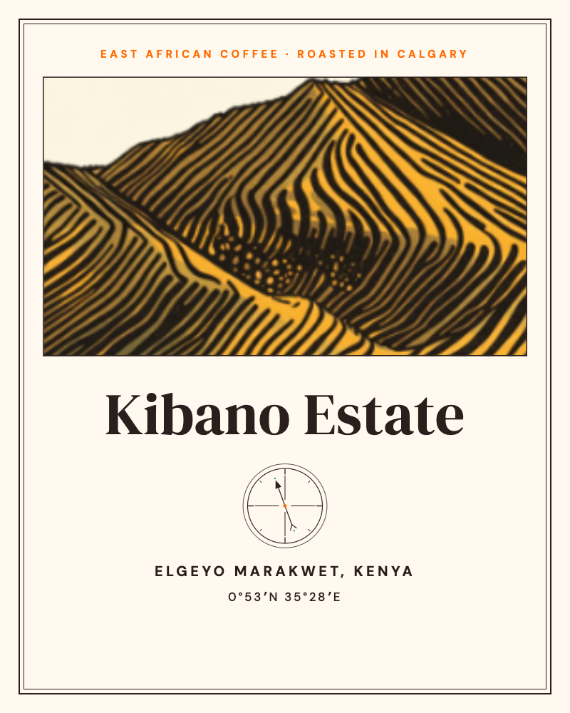 Kibano Estate: Safari 97 Kenyan coffee label, Elgeyo Marakwet